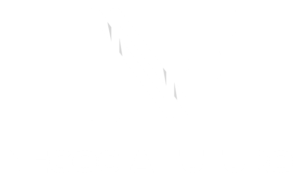 logo_negociafuturo